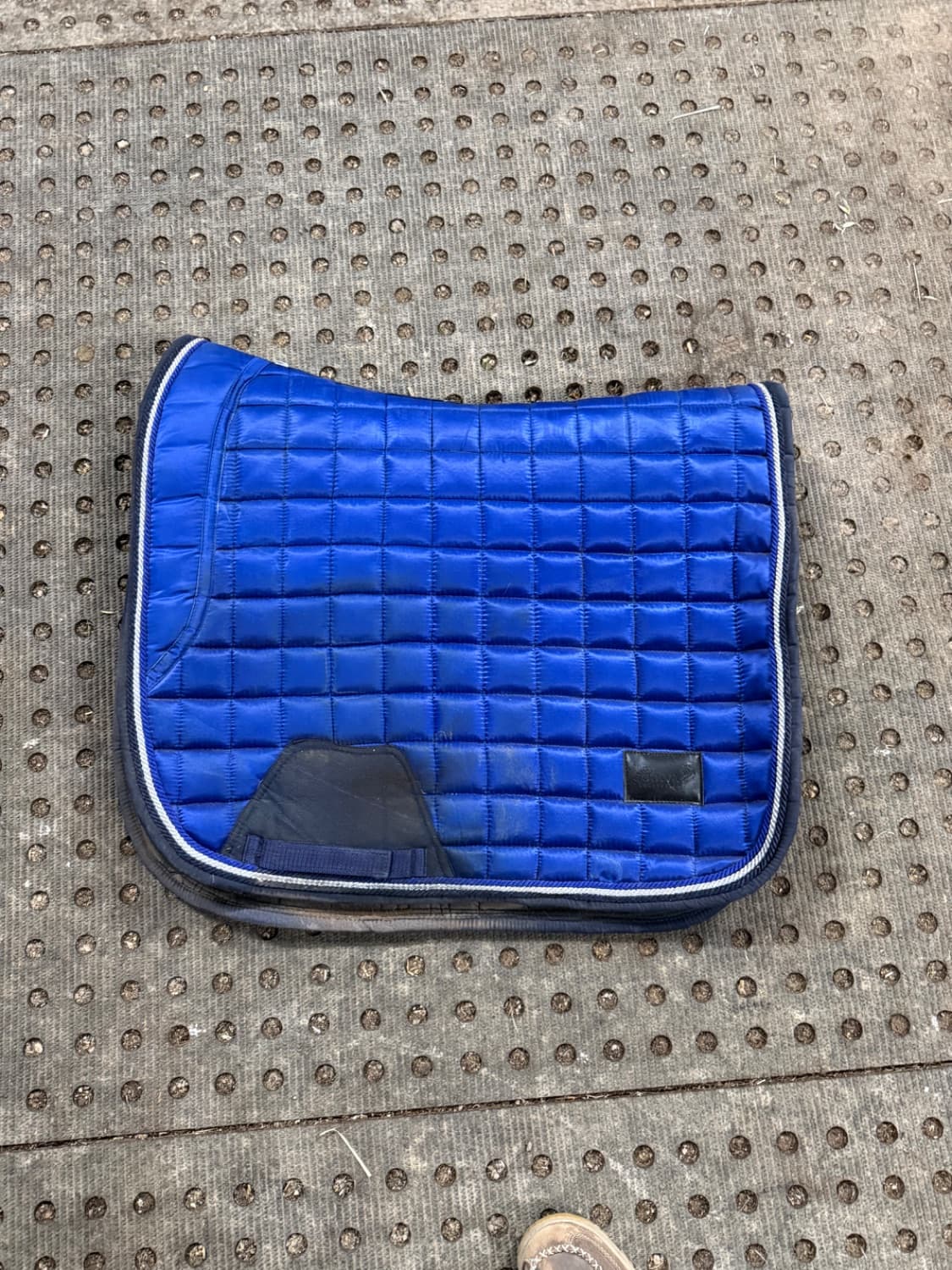 Lady Godiva Equestrian Electric Blue jump saddle pad