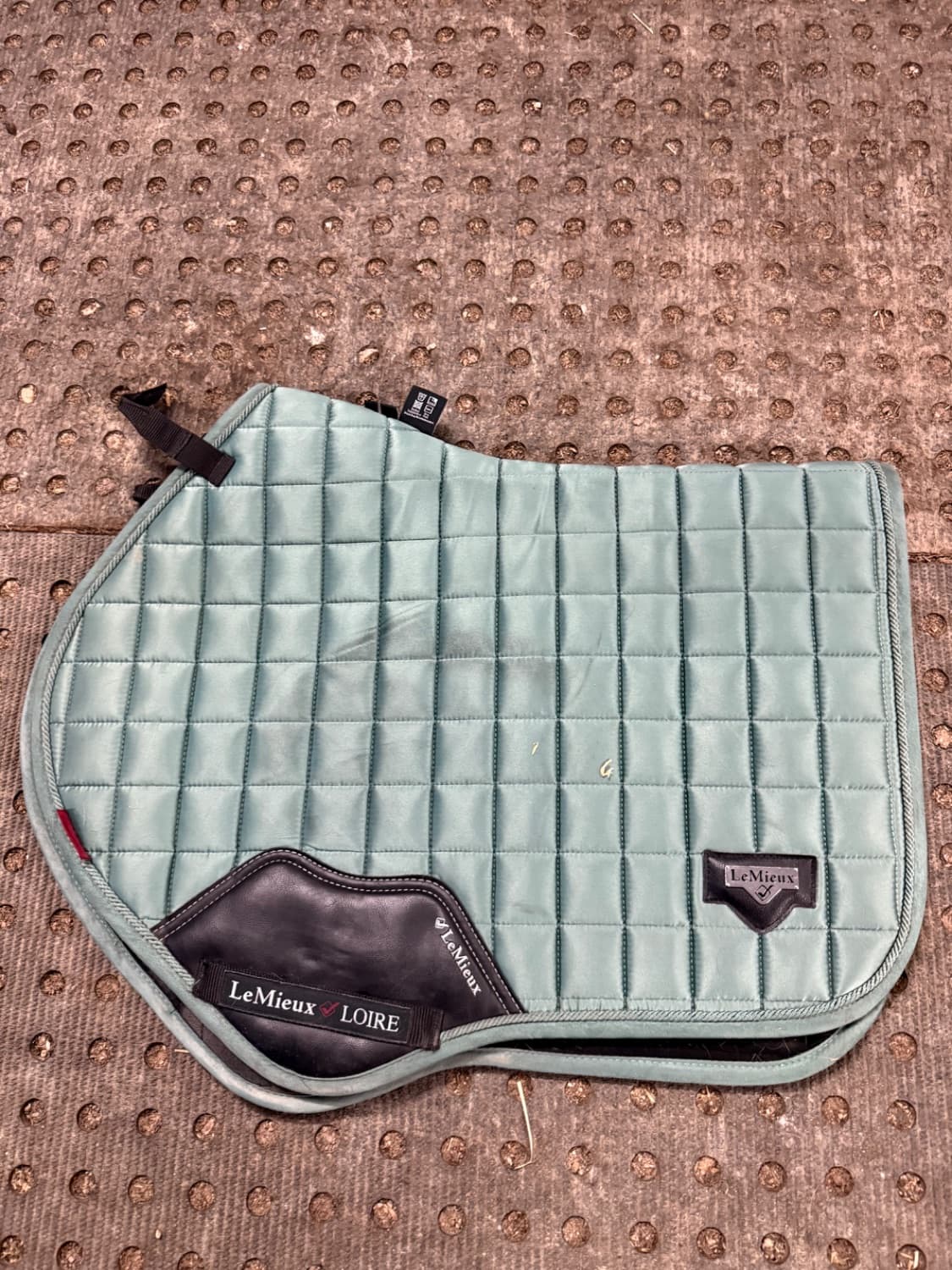 Lemieux Loire Sage jump cut saddle pad