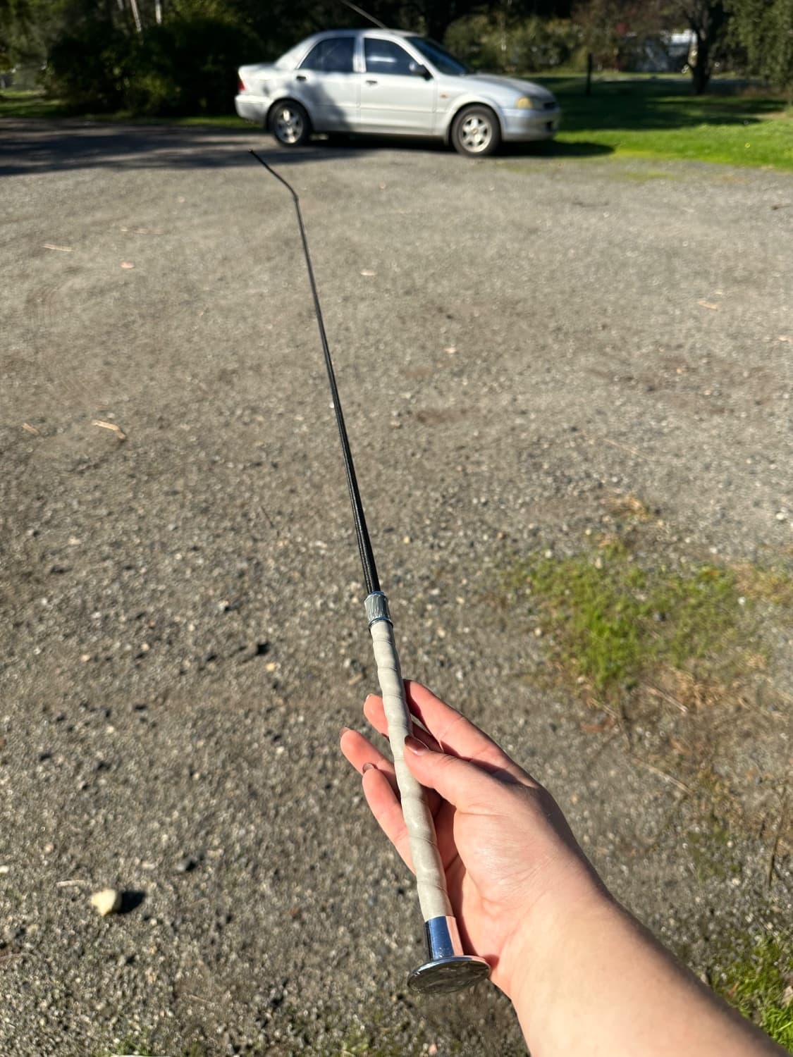 Dublin Marble Whip *pickup only